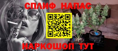 соль ск Лесосибирск
