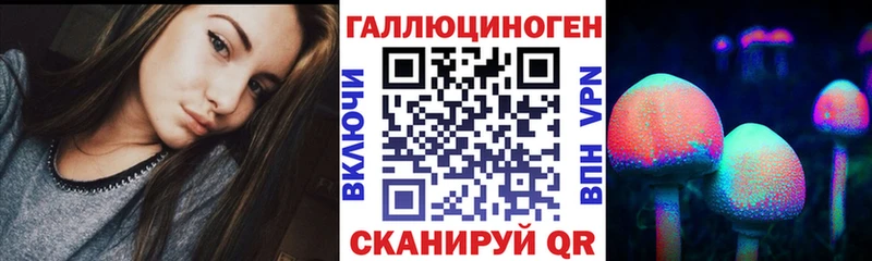 кракен как зайти  цена   Йошкар-Ола  Псилоцибиновые грибы Psilocybe 