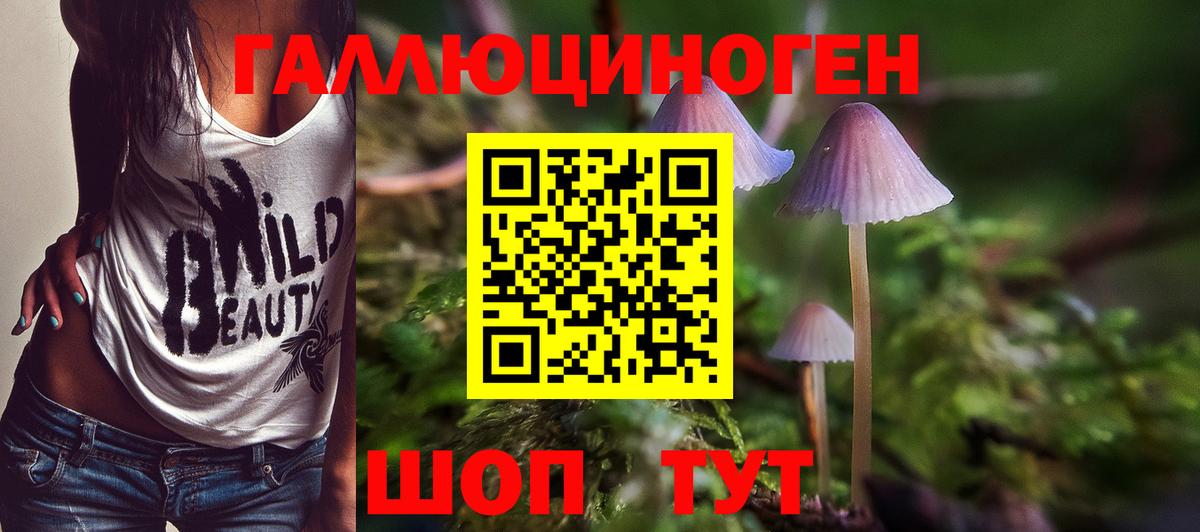 Йошкар-Ола  Псилоцибиновые грибы Psilocybe  Вход с VPN 